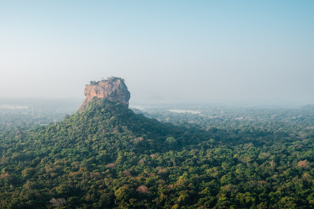 a very tall mountain surrounded by lush green trees