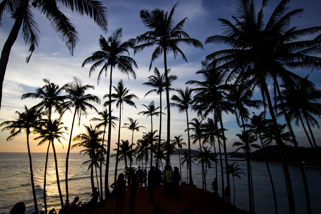 a group of people standing on top of a beach next to palm trees