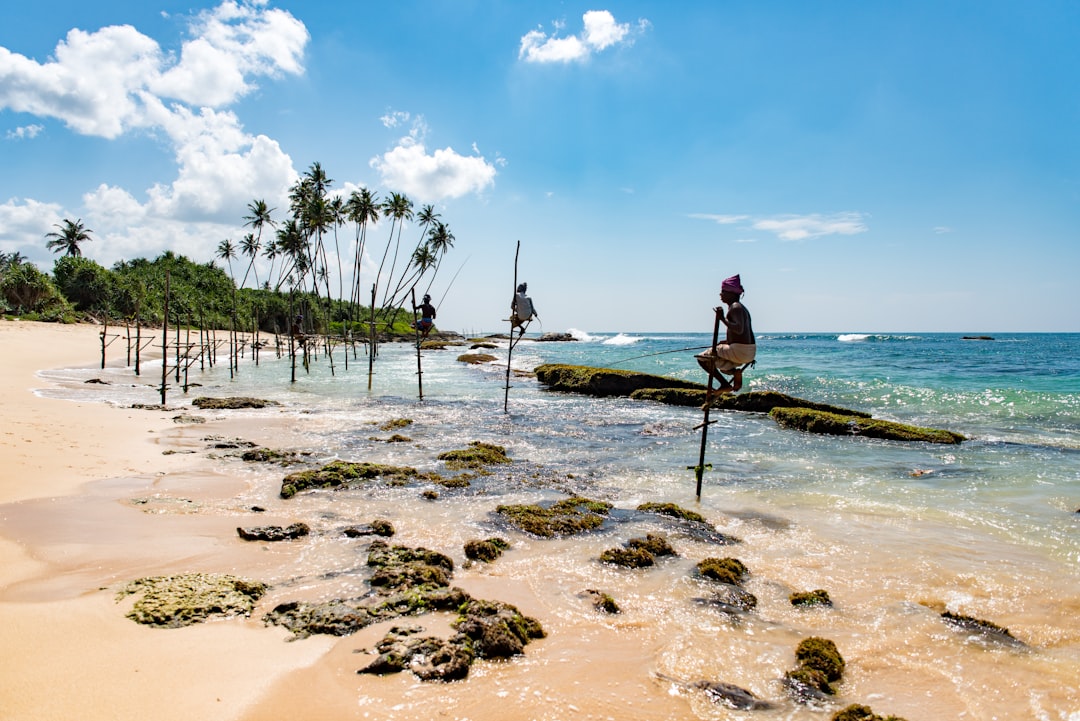 group of people climbing on stand beside seashore