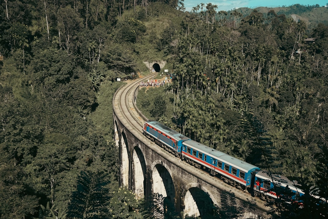 a blue and red train traveling over a bridge