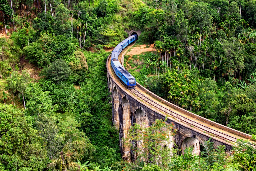 blue train on focus photography